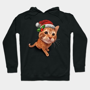 Cute Christmas Cat Hoodie